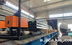 威海某公司使用插臂式集装箱装货机现场